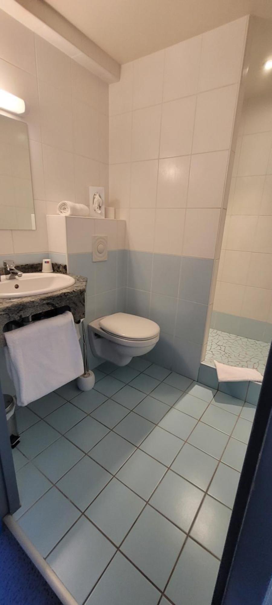 Logis Hotel Restaurant Le Cygne Yssingeaux Zewnętrze zdjęcie